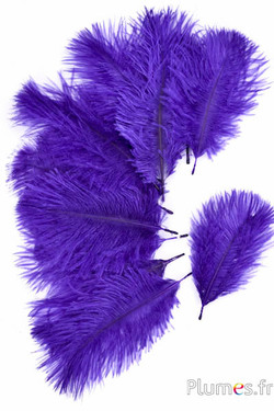 Struzzo Bellies - 8-13 cm - viola